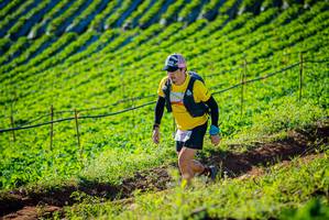 BIB: 
                            <button type="button" onclick="openModal(19160391)" class="btn btn-primary btn-sm float-right btn-popup" data-toggle="modal" data-target=".modal-high-quality">
                        <i class="fas fa-shopping-cart"></i> Add to Cart
                    </button>
                                            <button type="button" onclick="isThisMe(19160391, true)" class="btn btn-success btn-sm float-right btn-popup btn-isme hidden" data-toggle="tooltip" data-placement="bottom" title="นี่คือรูปของคุณใช่ไหม คลิกที่นี่เพื่อเอาเข้าอัลบั้ม">
                        <i class="fas fa-plus"></i> Add to album
                    </button>
                    <button type="button" onclick="isThisMe(19160391, false)" class="btn btn-warning btn-sm float-right btn-popup btn-isnotme hidden">
                        <i class="fas fa-ban"></i> Remove from album
                    </button>